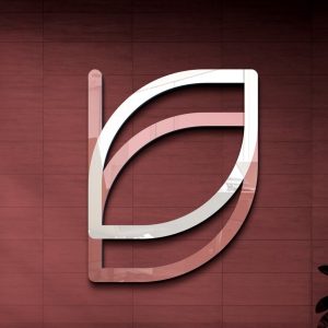 Clínica Bayona – Studio de Pilates