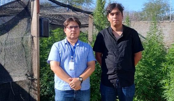 Crea-PB realiza fiscalização em Centro de Pesquisa de Cannabis Medicinal no Sertão